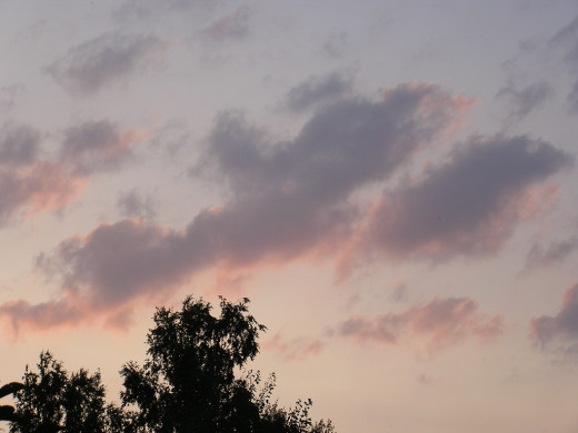 26310 (a): :1024x768